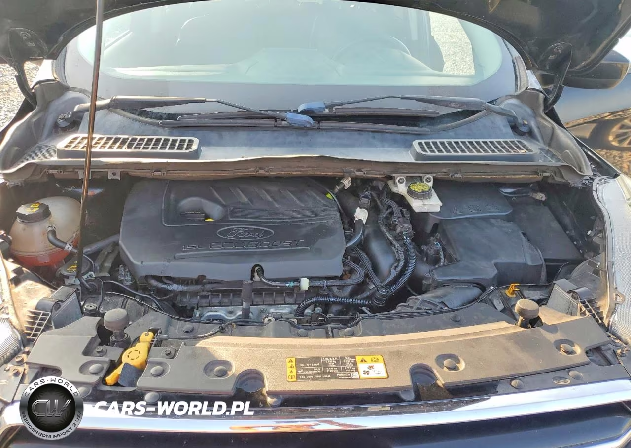 2017 Ford Escape Se VIN:1FMCU0GD7HUD16036 - 12