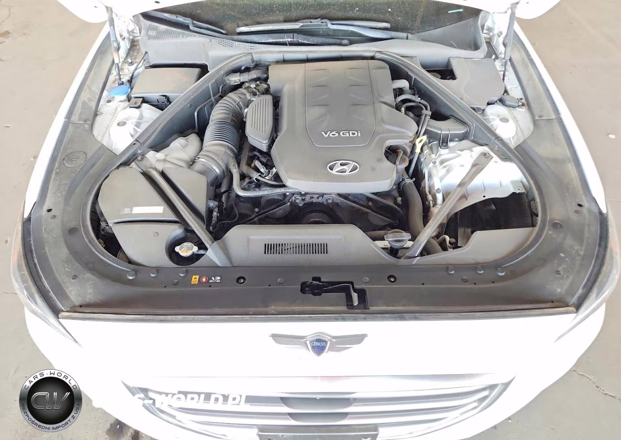 2015 Hyundai Genesis 3.8 VIN:KMHGN4JE7FU076488 - 11