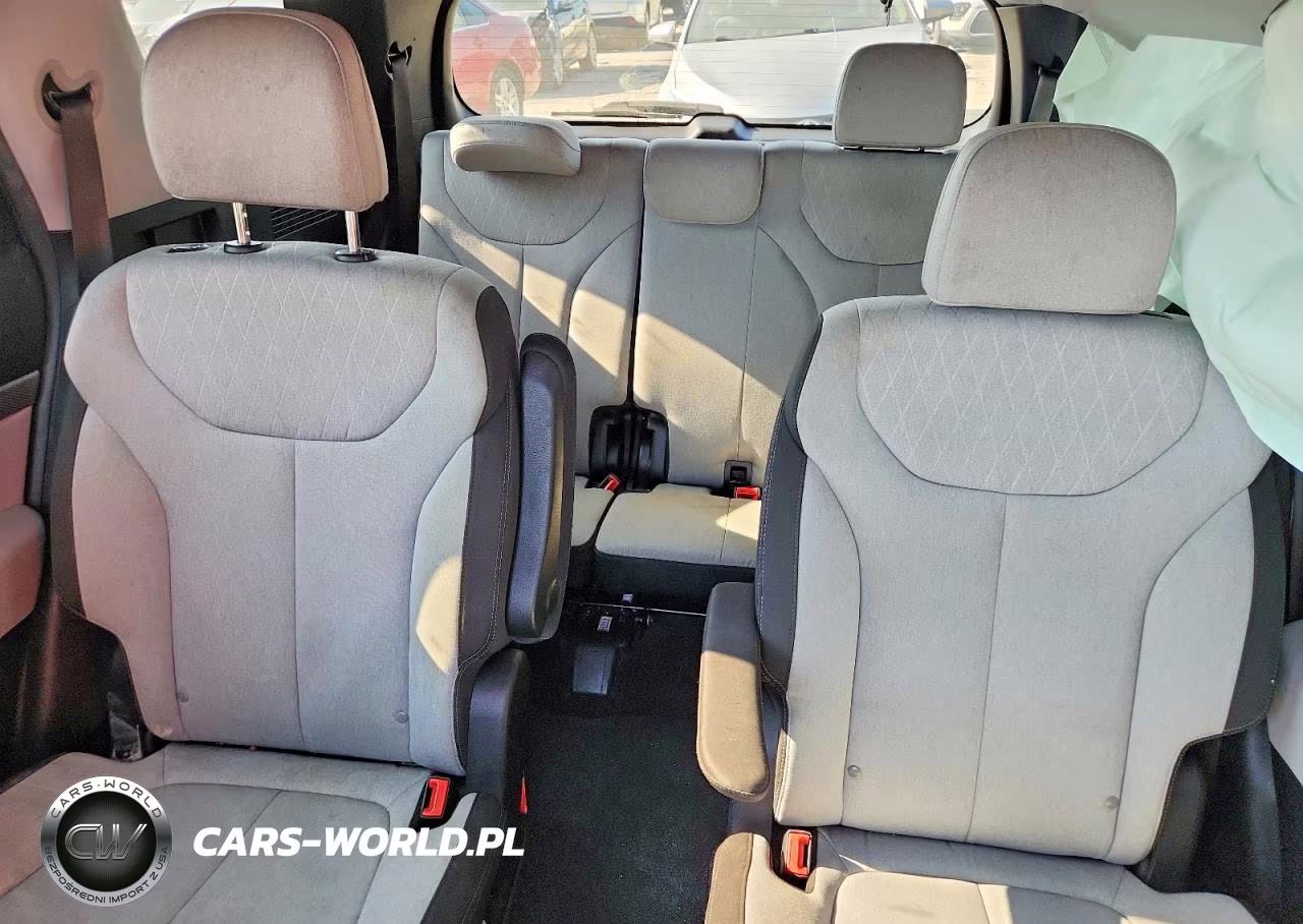 2020 Hyundai Palisade Sel VIN:KM8R3DHE2LU103192 - 10