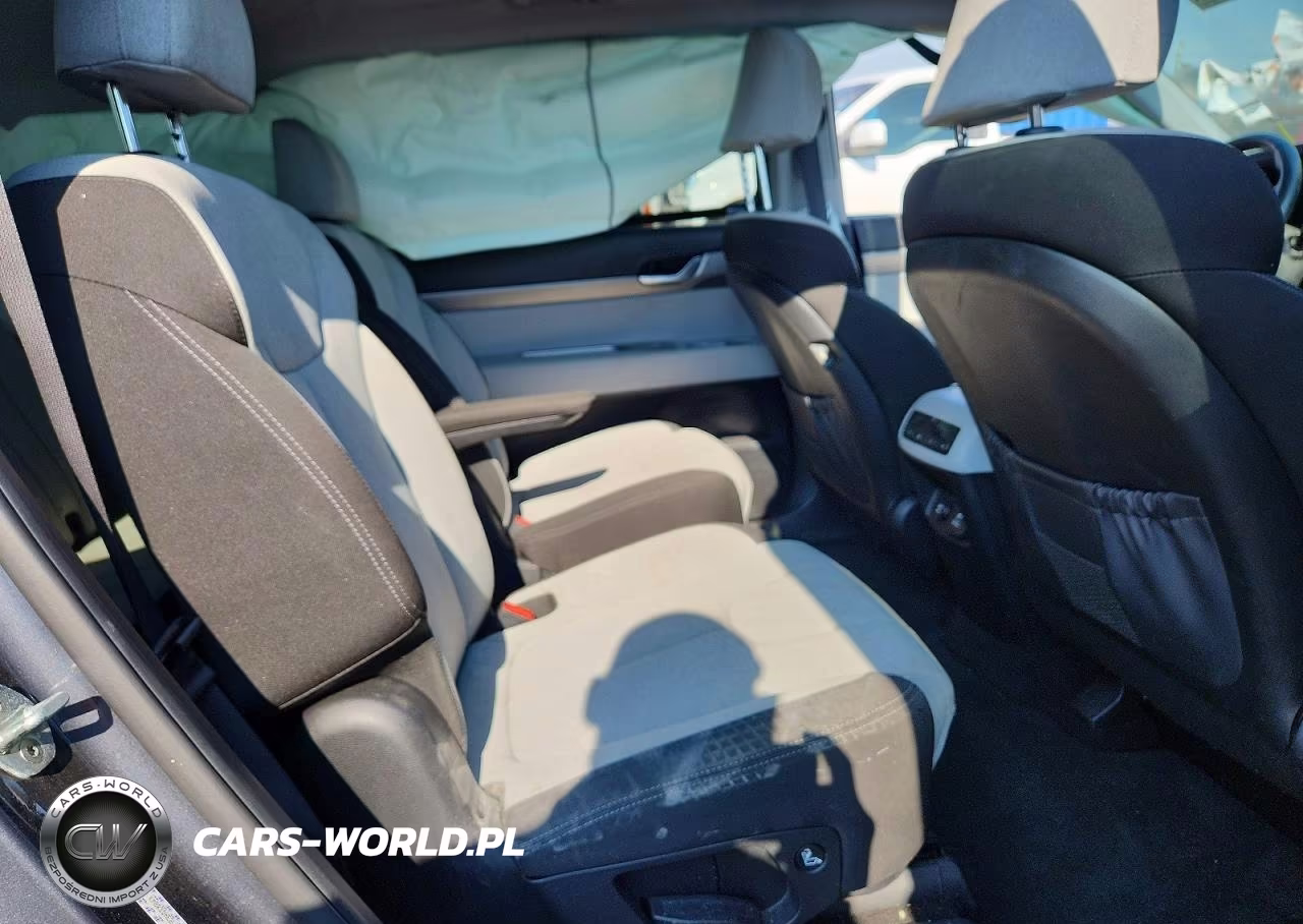 2020 Hyundai Palisade Sel VIN:KM8R3DHE2LU103192 - 11