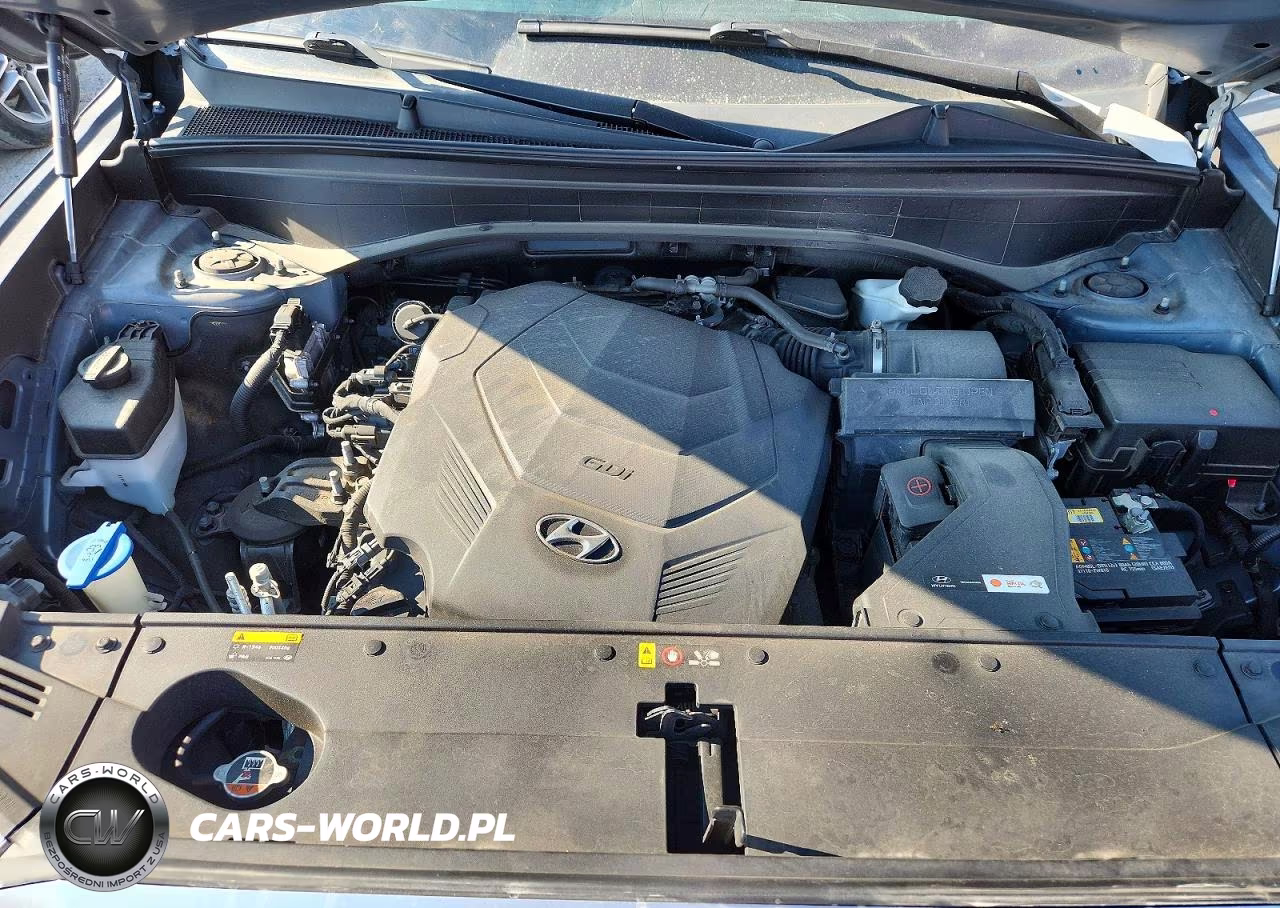 2020 Hyundai Palisade Sel VIN:KM8R3DHE2LU103192 - 12