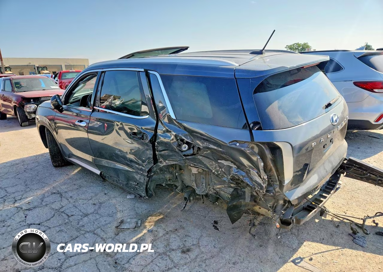 2020 Hyundai Palisade Sel VIN:KM8R3DHE2LU103192 - 2