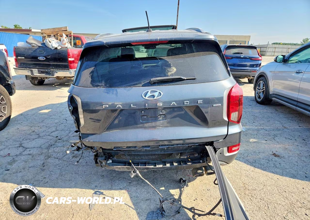2020 Hyundai Palisade Sel VIN:KM8R3DHE2LU103192 - 6