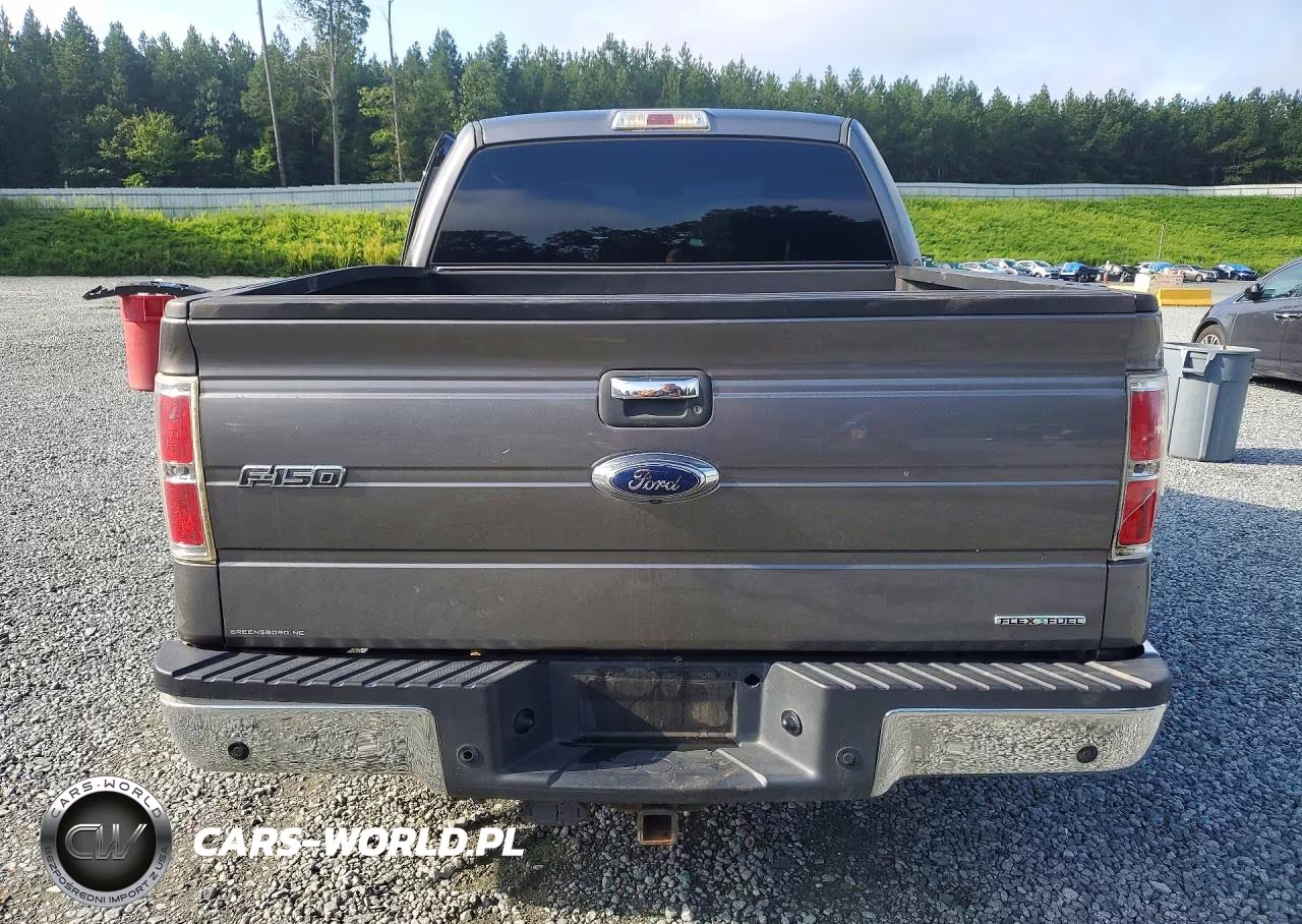 2013 Ford F150 Supercrew VIN:1FTFW1EF1DFB39441 - 6