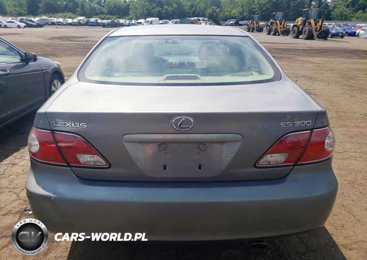 2002 Lexus Es 300 VIN:JTHBF30G225024455 - 6