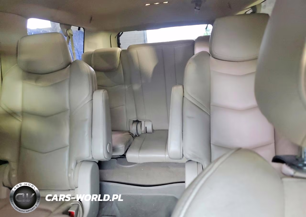 2019 Cadillac Escalade Esv Luxury VIN:1GYS4HKJ3KR315028 - 10