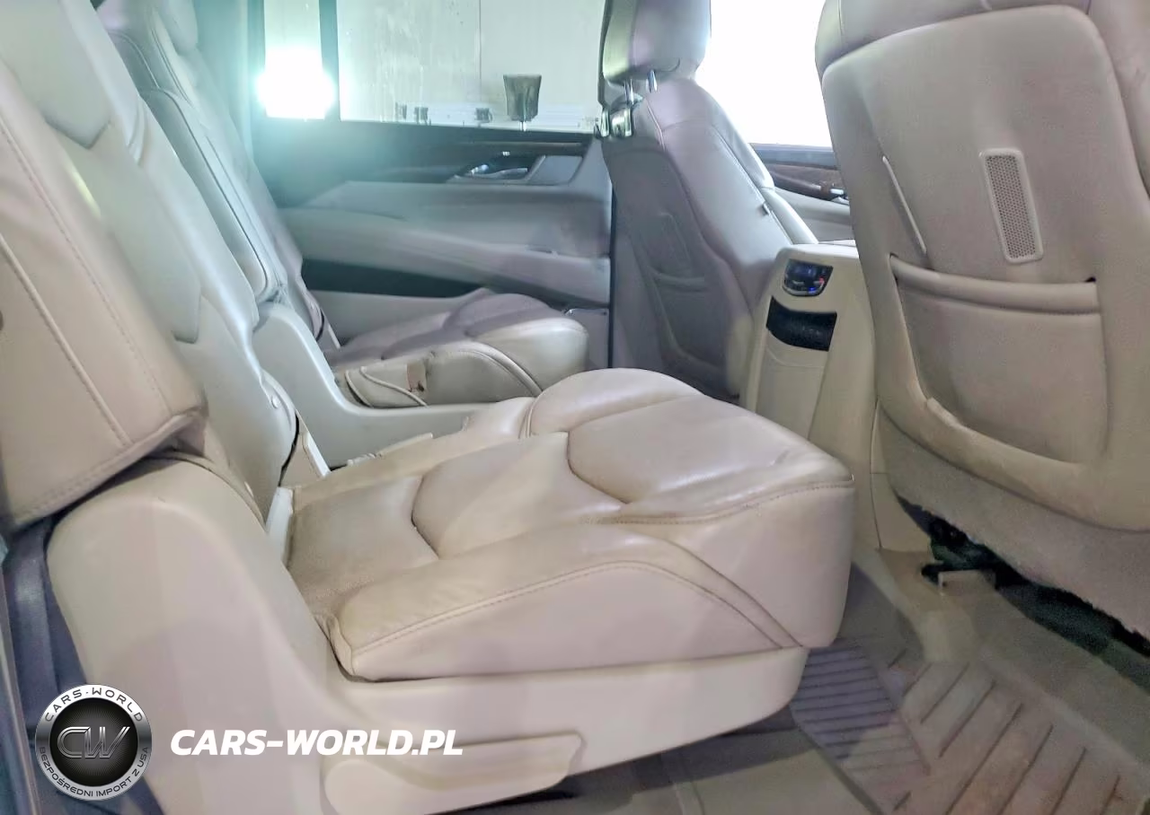 2019 Cadillac Escalade Esv Luxury VIN:1GYS4HKJ3KR315028 - 11