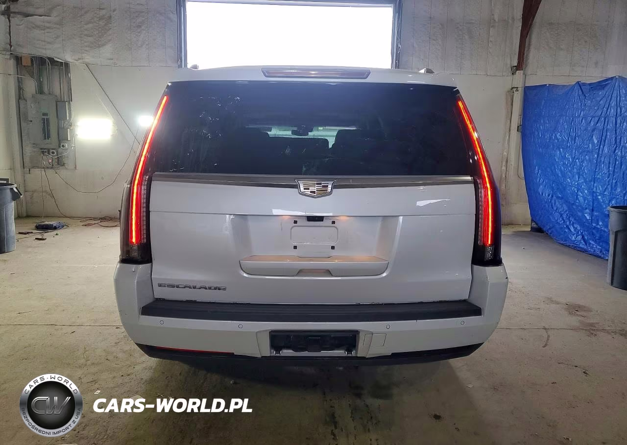 2019 Cadillac Escalade Esv Luxury VIN:1GYS4HKJ3KR315028 - 6