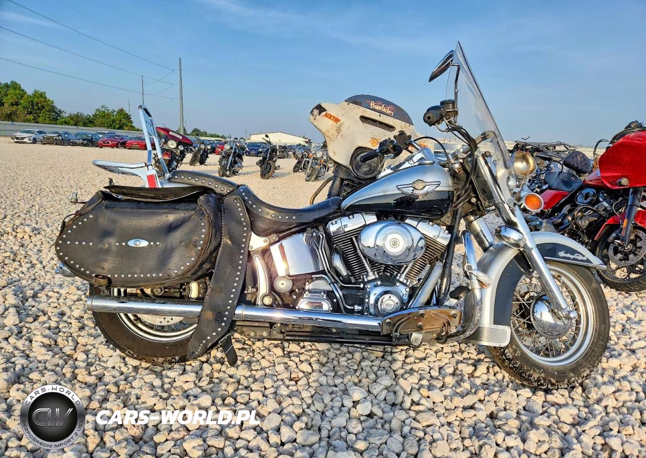 2003 Harley-Davidson Flstci Anniversary VIN:1HD1BWB483Y081724 - 1