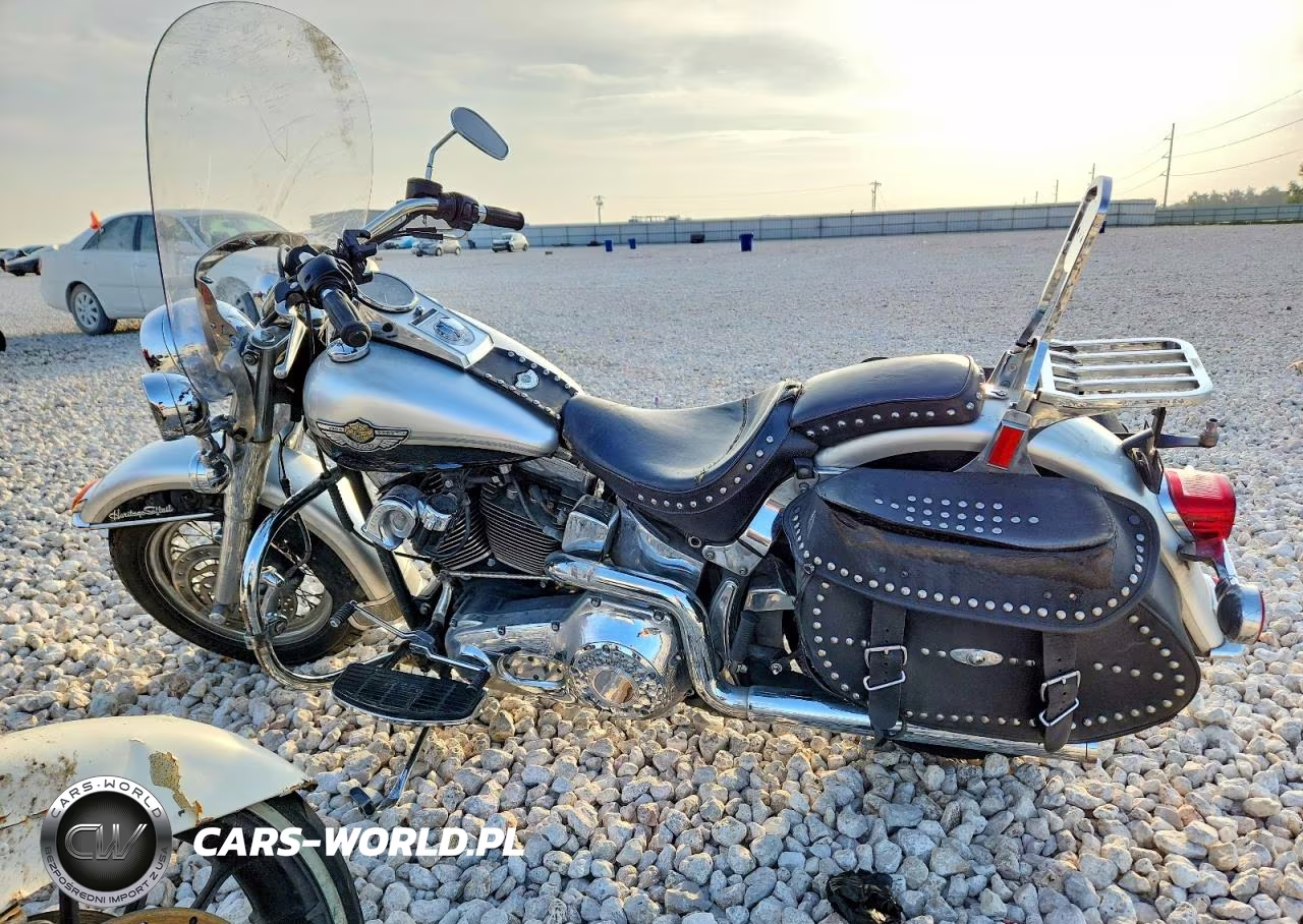 2003 Harley-Davidson Flstci Anniversary VIN:1HD1BWB483Y081724 - 3