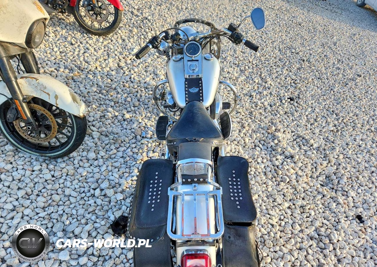 2003 Harley-Davidson Flstci Anniversary VIN:1HD1BWB483Y081724 - 6