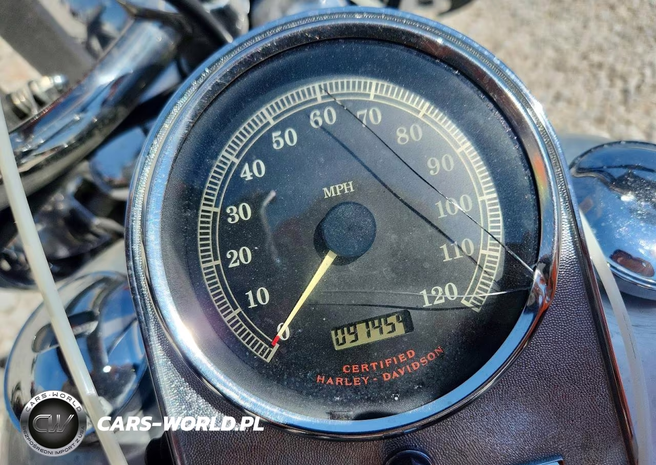 2003 Harley-Davidson Flstci Anniversary VIN:1HD1BWB483Y081724 - 7