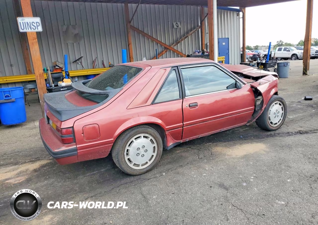 1984 Ford Mustang Svo VIN:1FABP28T1EF144116 - 3