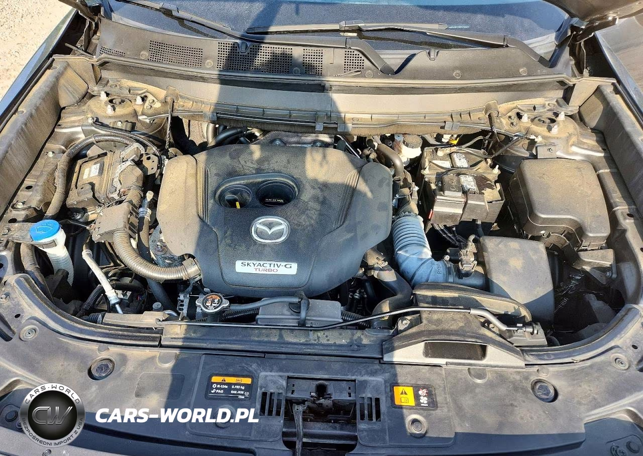2021 Mazda Cx-9 Signature VIN:JM3TCBEY3M0520463 - 11