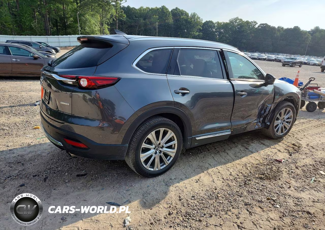 2021 Mazda Cx-9 Signature VIN:JM3TCBEY3M0520463 - 3