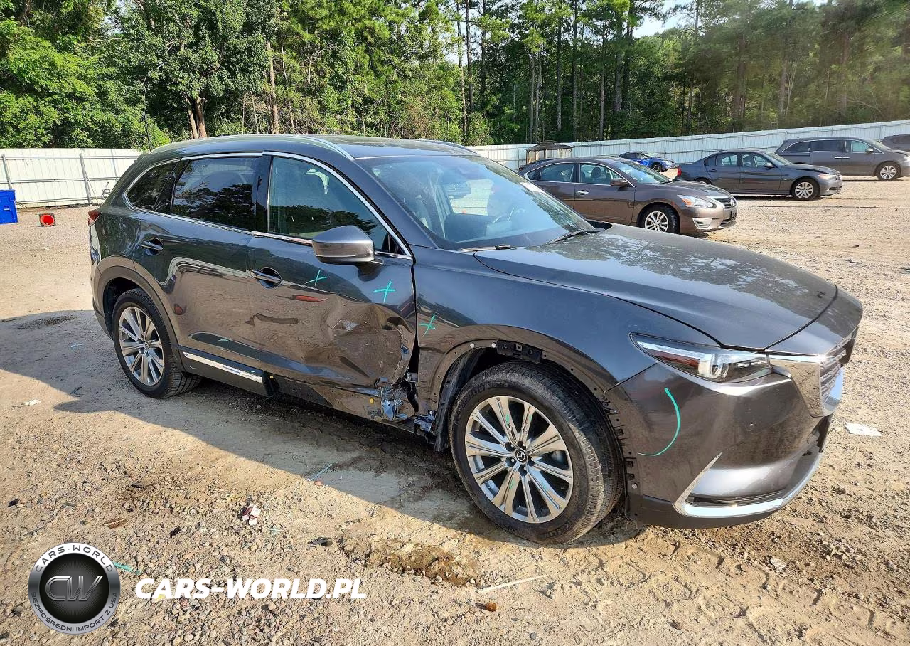 2021 Mazda Cx-9 Signature VIN:JM3TCBEY3M0520463 - 4