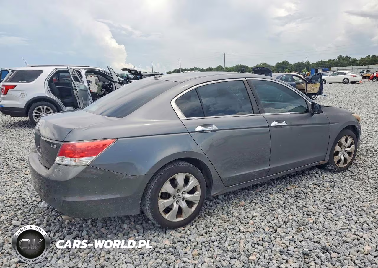 2010 Honda Accord Exl VIN:1HGCP3F85AA010396 - 3