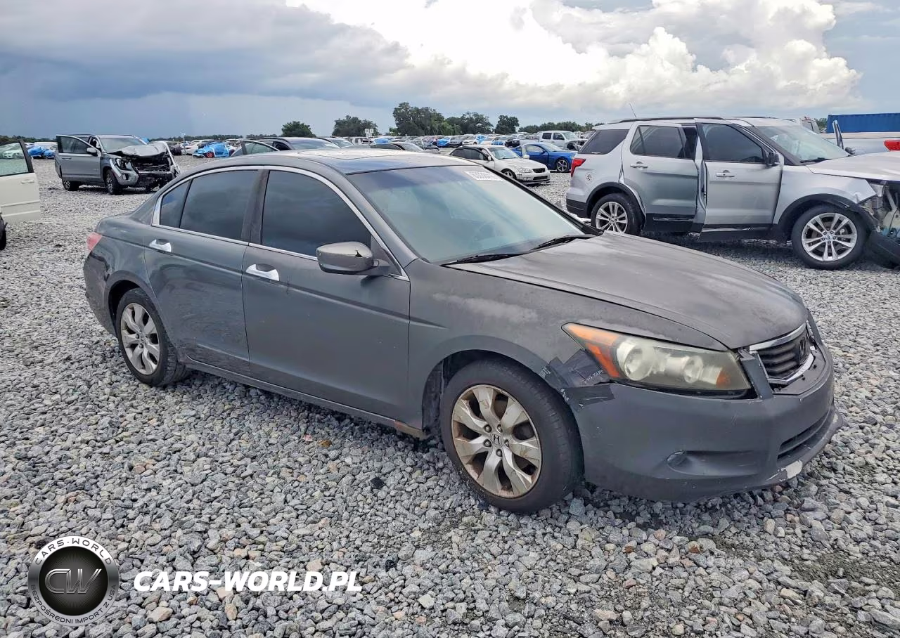 2010 Honda Accord Exl VIN:1HGCP3F85AA010396 - 4