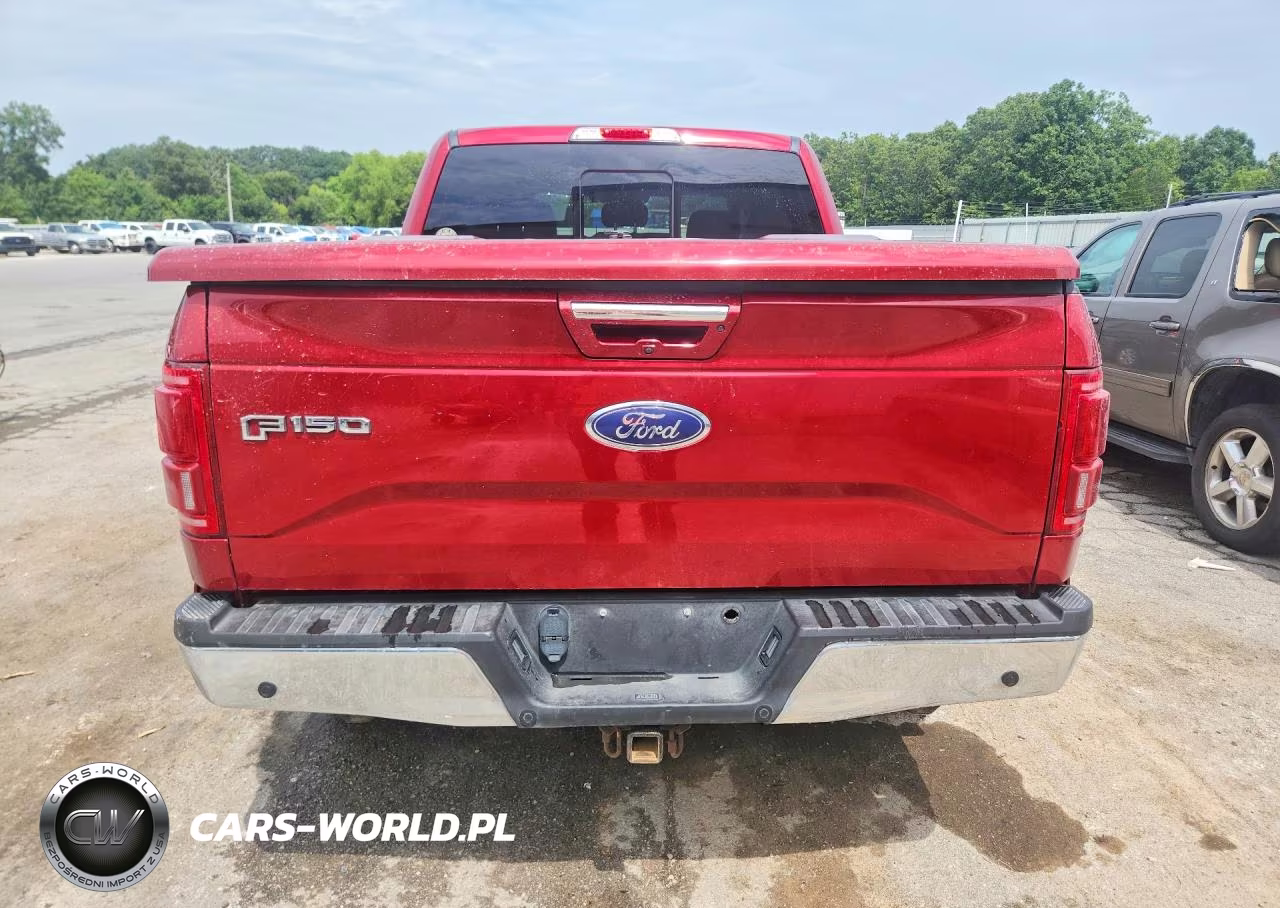 2016 Ford F150 Supercrew VIN:1FTEW1EG7GKD94501 - 6