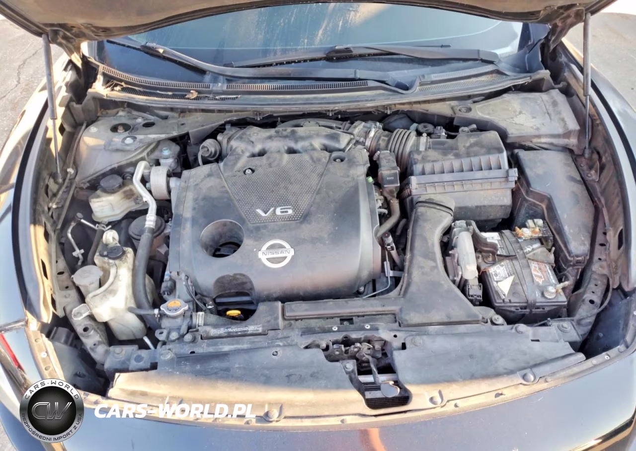 2009 Nissan Maxima 3.5 S VIN:1N4AA51E89C834298 - 11