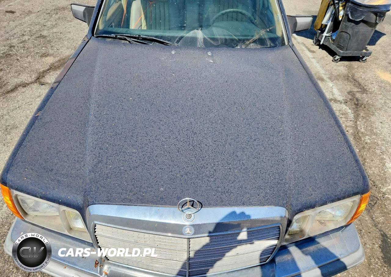 1984 Mercedes-Benz 300 Sd VIN:WDBCB20A2EA059014 - 11