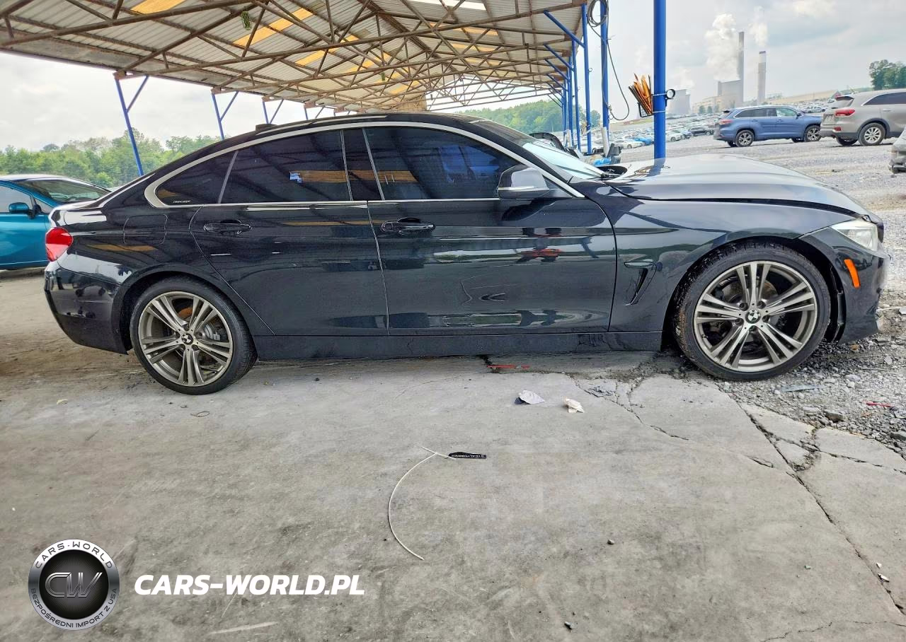 2016 BMW 428 I Gran Coupe Sulev VIN:WBA4A9C57GG505445 - 4