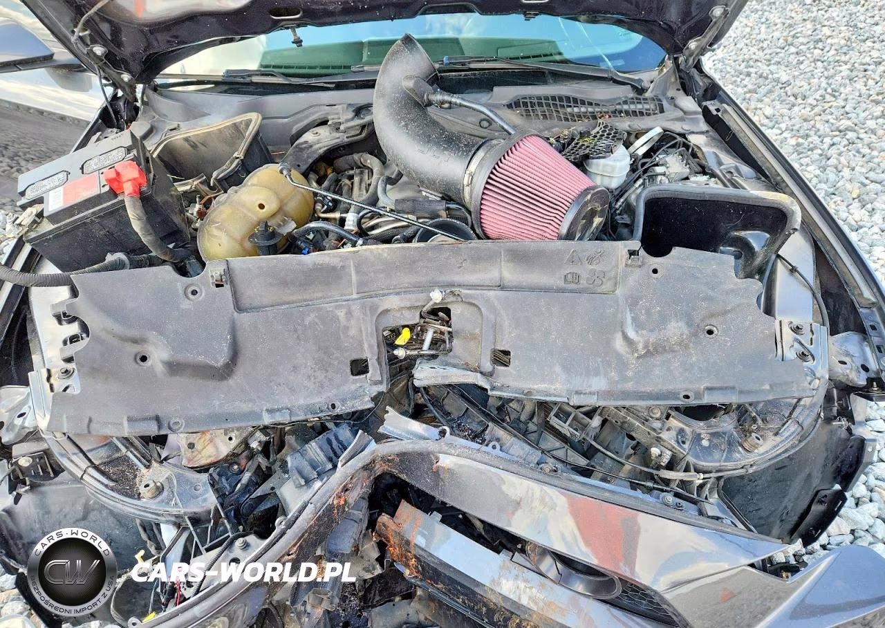 2020 Ford Mustang Gt VIN:1FA6P8CF8L5169944 - 11