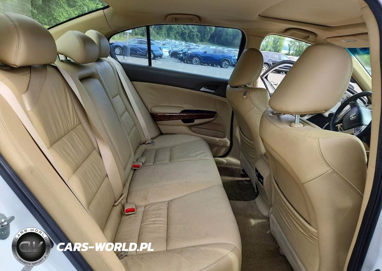 2010 Honda Accord Exl VIN:1HGCP2F84AA104697 - 10