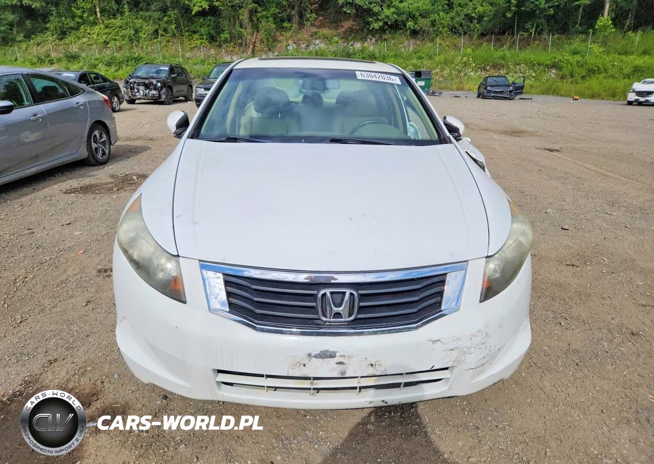 2010 Honda Accord Exl VIN:1HGCP2F84AA104697 - 5