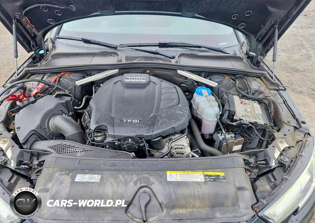 2019 Audi A4 Premium Plus VIN:WAUENAF41KA005046 - 11