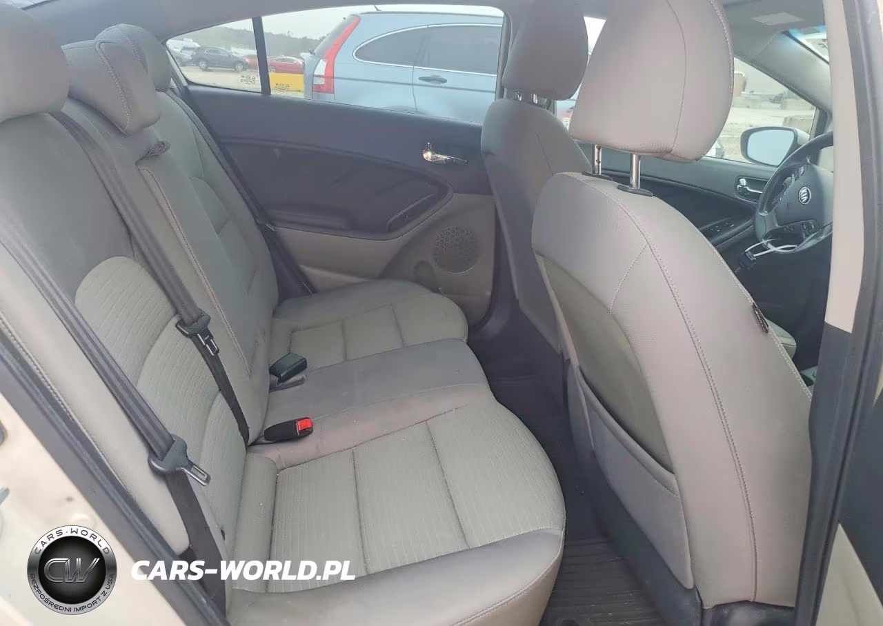 2014 Kia Forte Lx VIN:KNAFX4A60E5063610 - 10