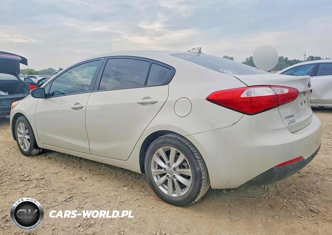 2014 Kia Forte Lx VIN:KNAFX4A60E5063610 - 2