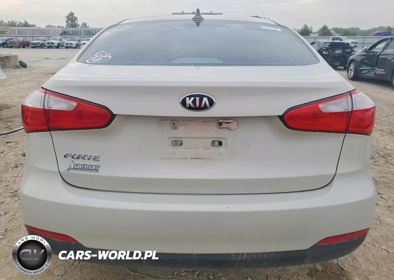 2014 Kia Forte Lx VIN:KNAFX4A60E5063610 - 6