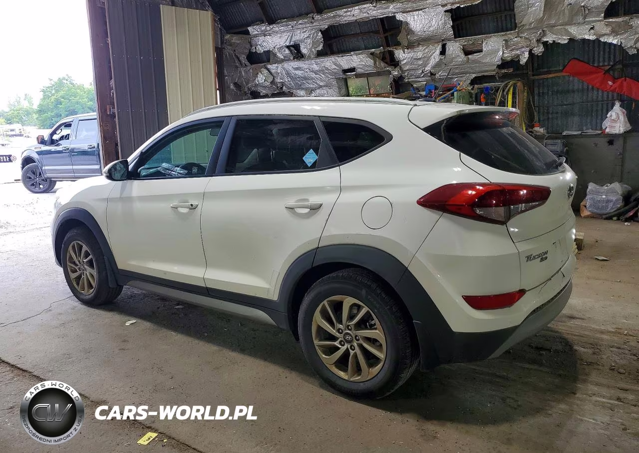 2017 Hyundai Tucson Eco VIN:KM8J3CA23HU351255 - 2