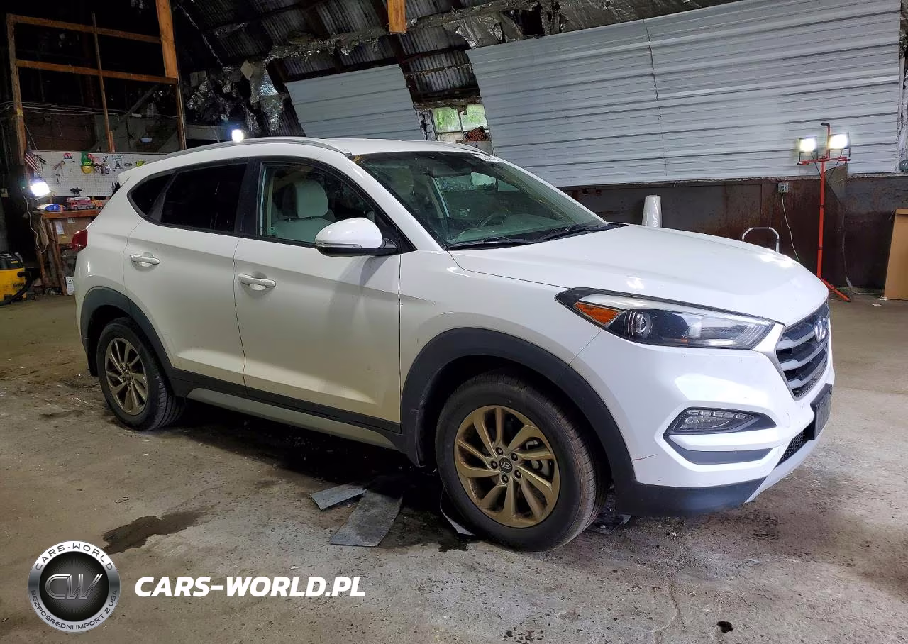 2017 Hyundai Tucson Eco VIN:KM8J3CA23HU351255 - 4
