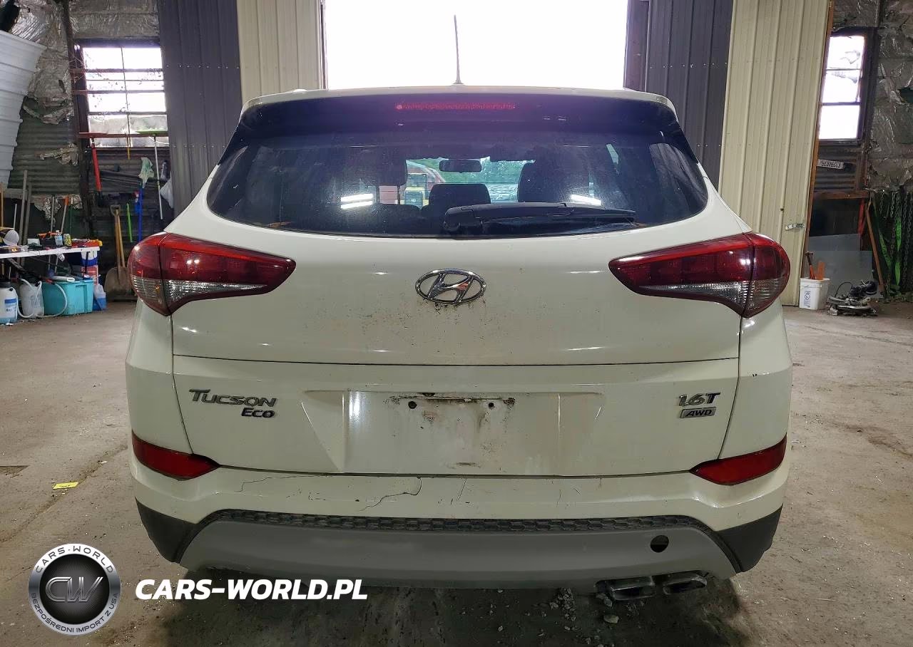 2017 Hyundai Tucson Eco VIN:KM8J3CA23HU351255 - 6