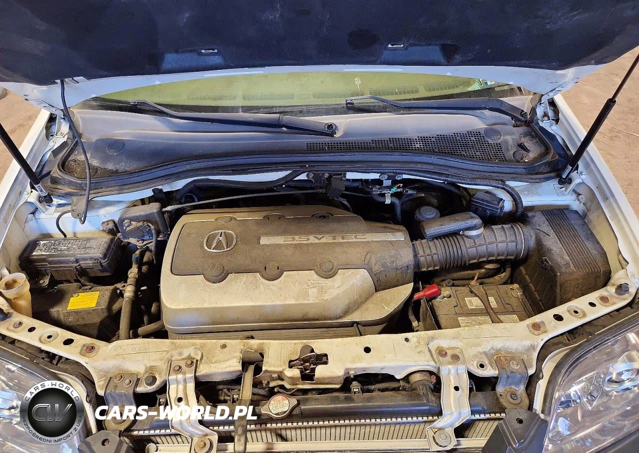 2005 Acura Mdx VIN:2HNYD18205H557779 - 12