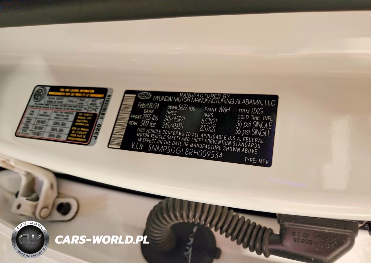 2024 Hyundai Santa Fe Calligraphy VIN:5NMP5DGL8RH009534 - 13