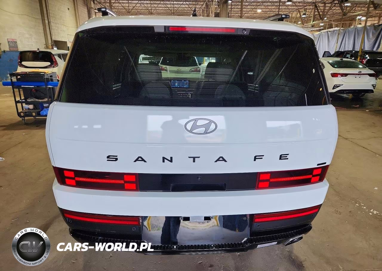2024 Hyundai Santa Fe Calligraphy VIN:5NMP5DGL8RH009534 - 6
