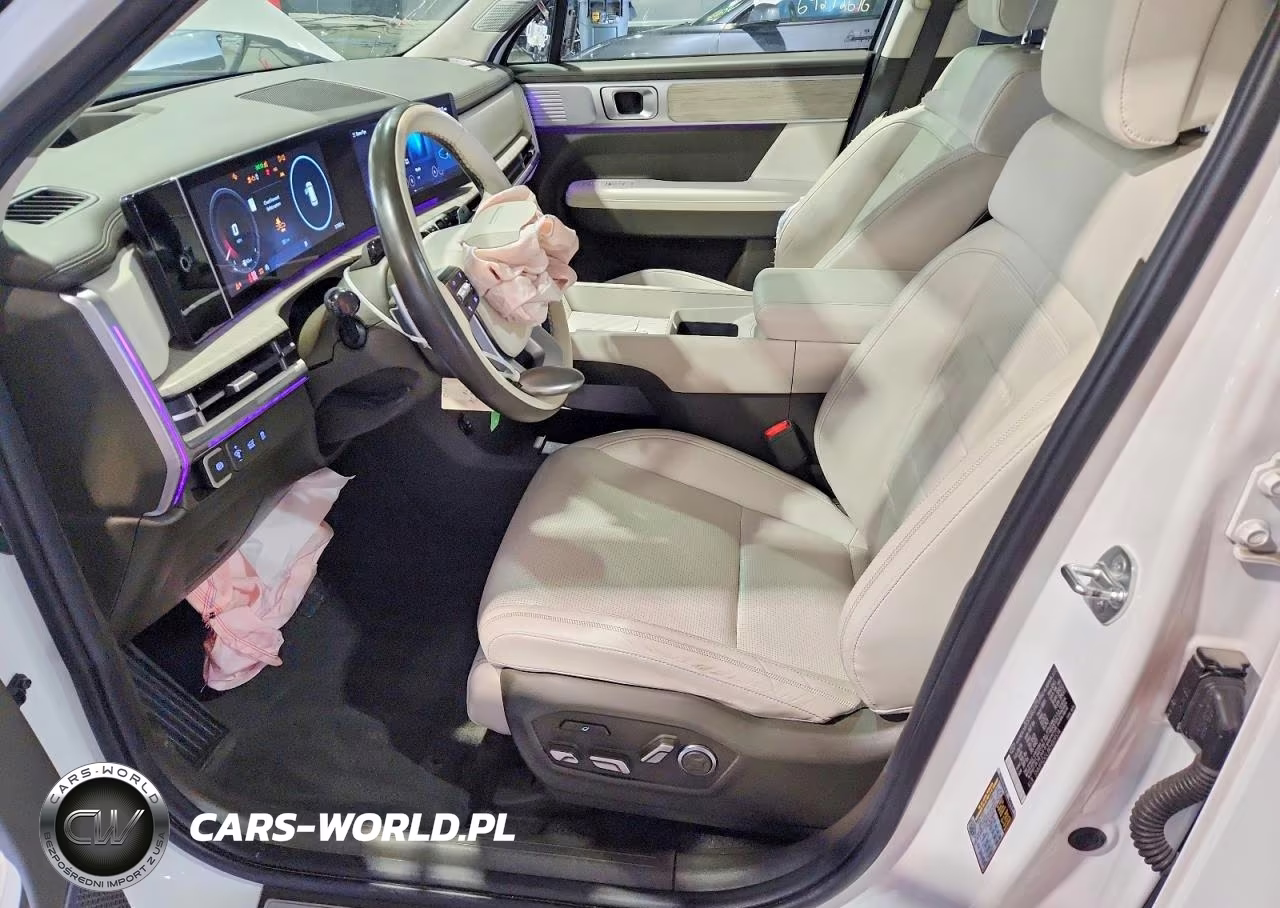 2024 Hyundai Santa Fe Calligraphy VIN:5NMP5DGL8RH009534 - 7