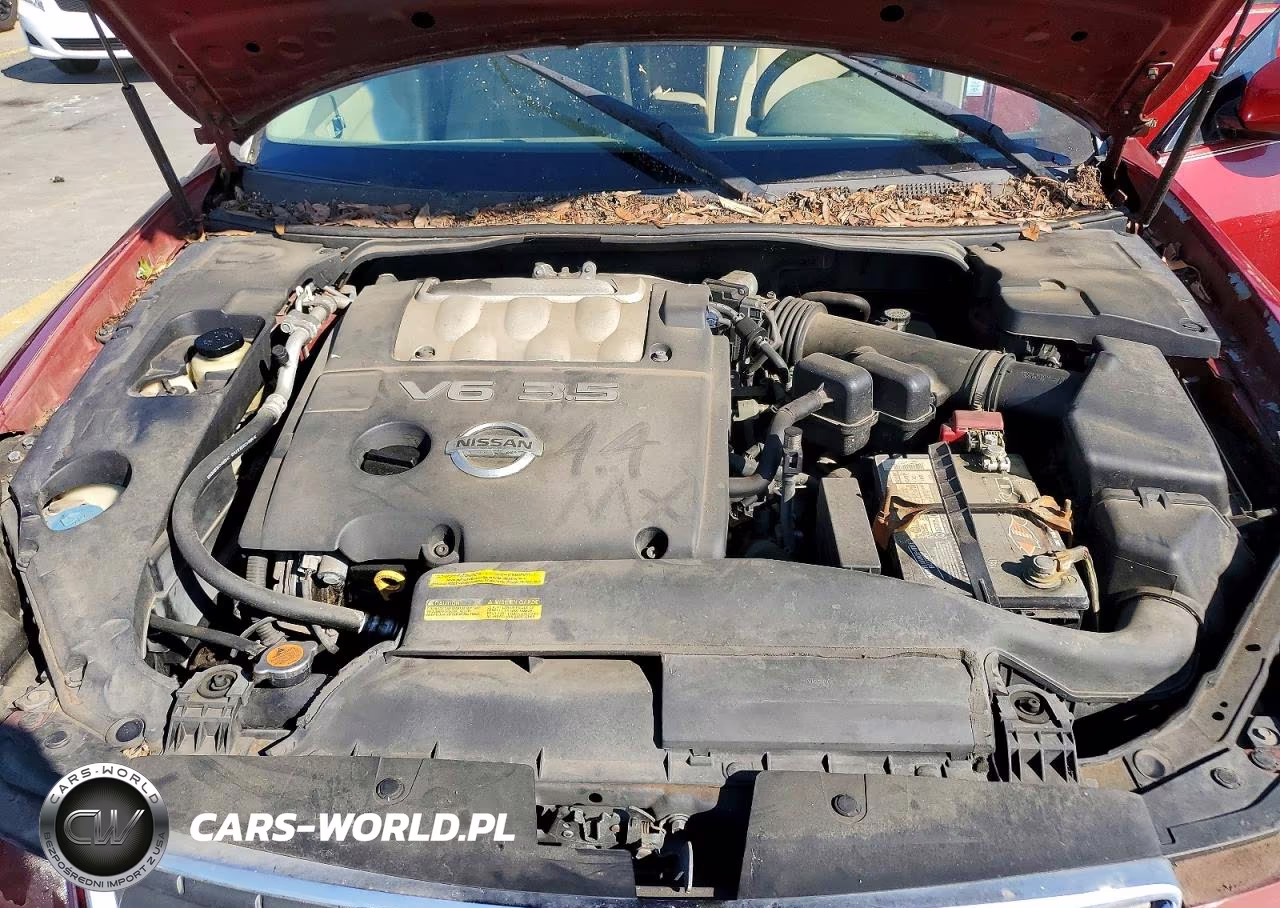 2007 Nissan Maxima 3.5 Se VIN:1N4BA41E67C858921 - 11