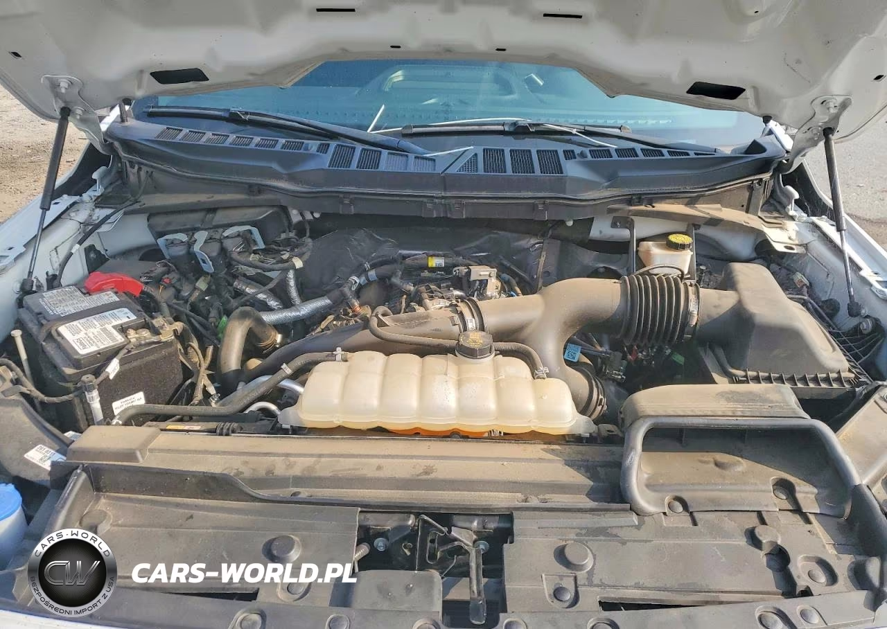2023 Ford F150 Super Cab VIN:1FTEX1EP8PKF44242 - 11