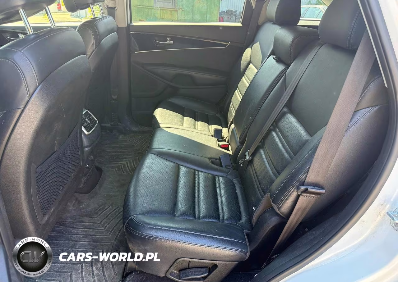 2017 Kia Sorento Lx VIN:5XYPGDA33HG329369 - 12