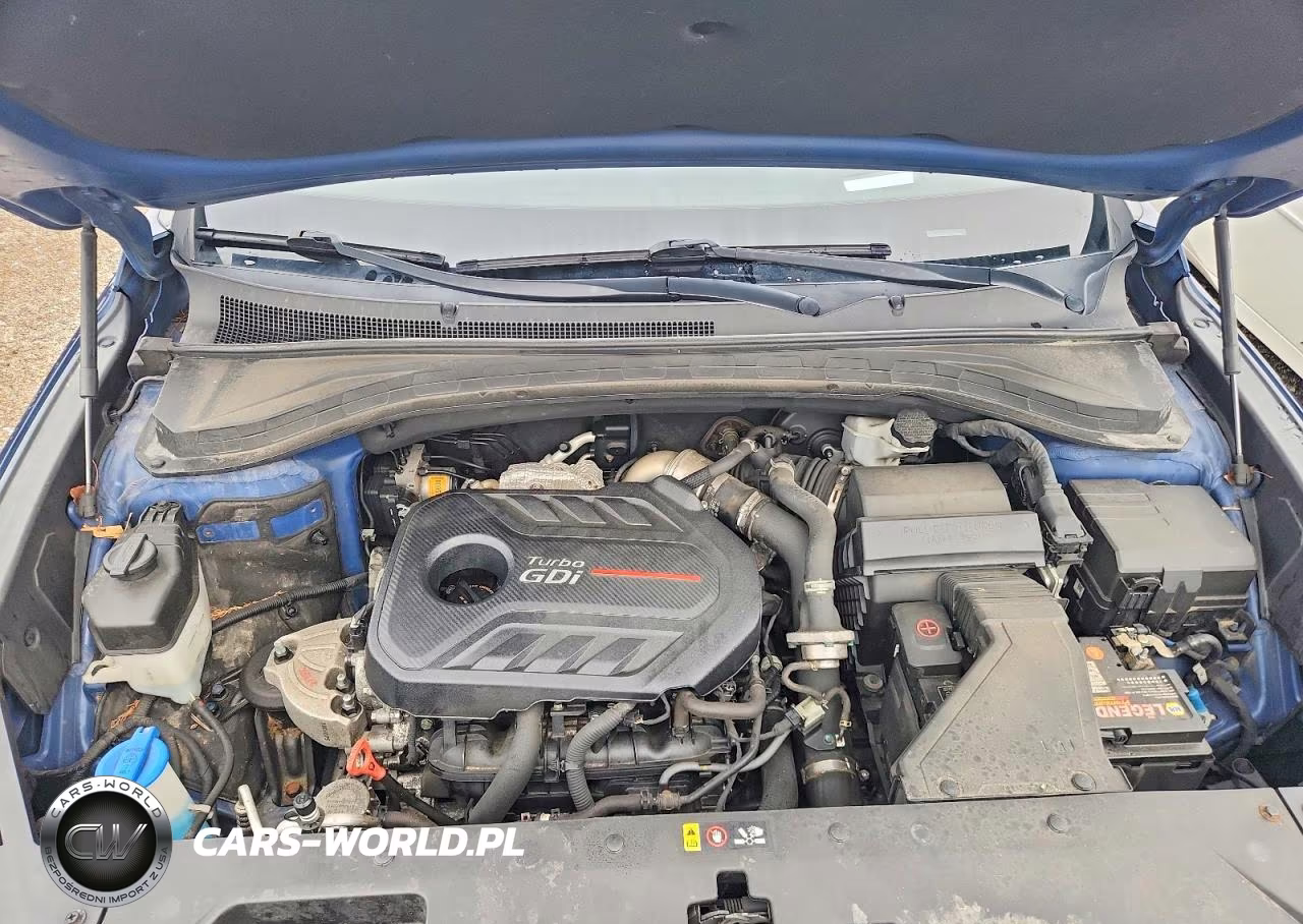 2019 Hyundai Santa Fe Ultimate 2.0T VIN:5NMS53AA6KH053324 - 11