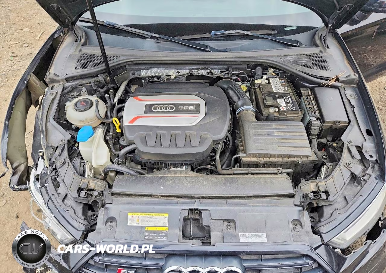 2019 Audi S3 Premium Plus VIN:WAUB1GFF7K1018791 - 11