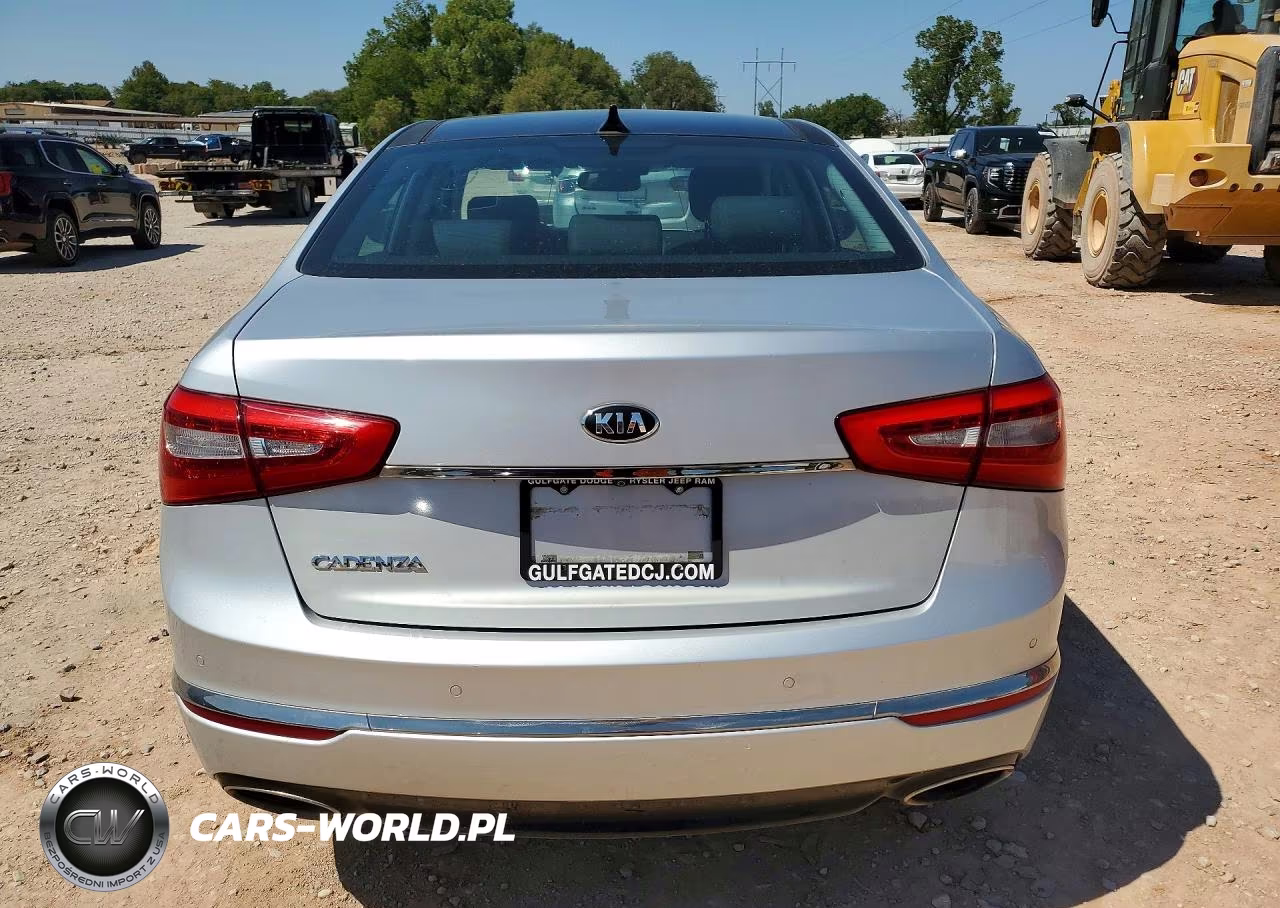 2016 Kia Cadenza Luxury VIN:KNALN4D78G5208022 - 6