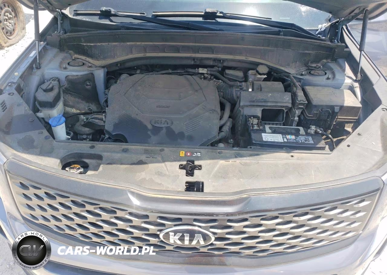 2020 Kia Telluride Lx VIN:5XYP2DHC2LG009439 - 12