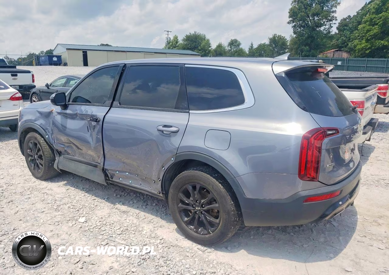 2020 Kia Telluride Lx VIN:5XYP2DHC2LG009439 - 2