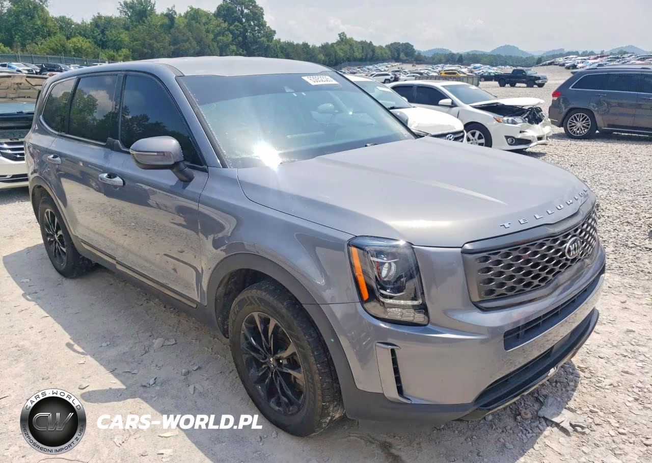 2020 Kia Telluride Lx VIN:5XYP2DHC2LG009439 - 4