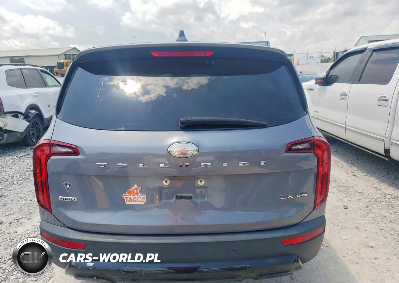 2020 Kia Telluride Lx VIN:5XYP2DHC2LG009439 - 6